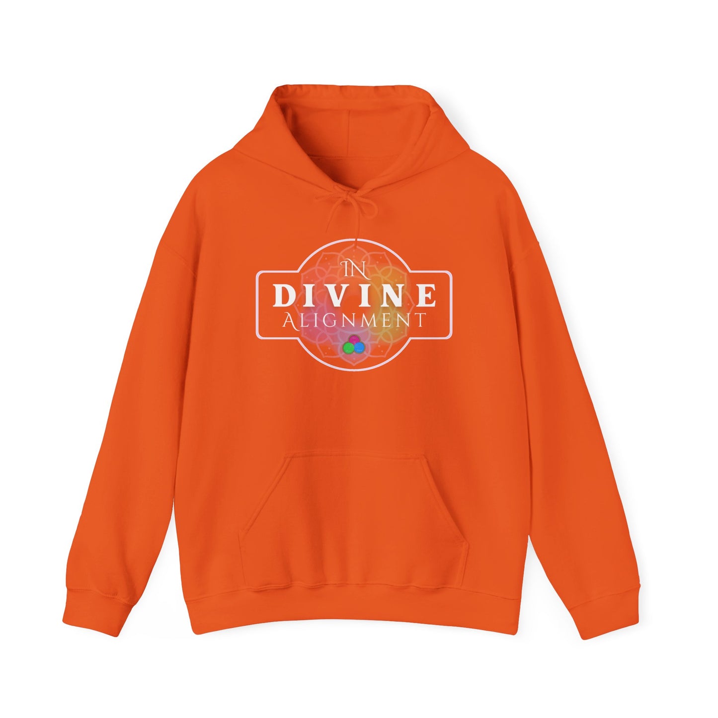 In Divine Alignment  Hooded Sweatshirt