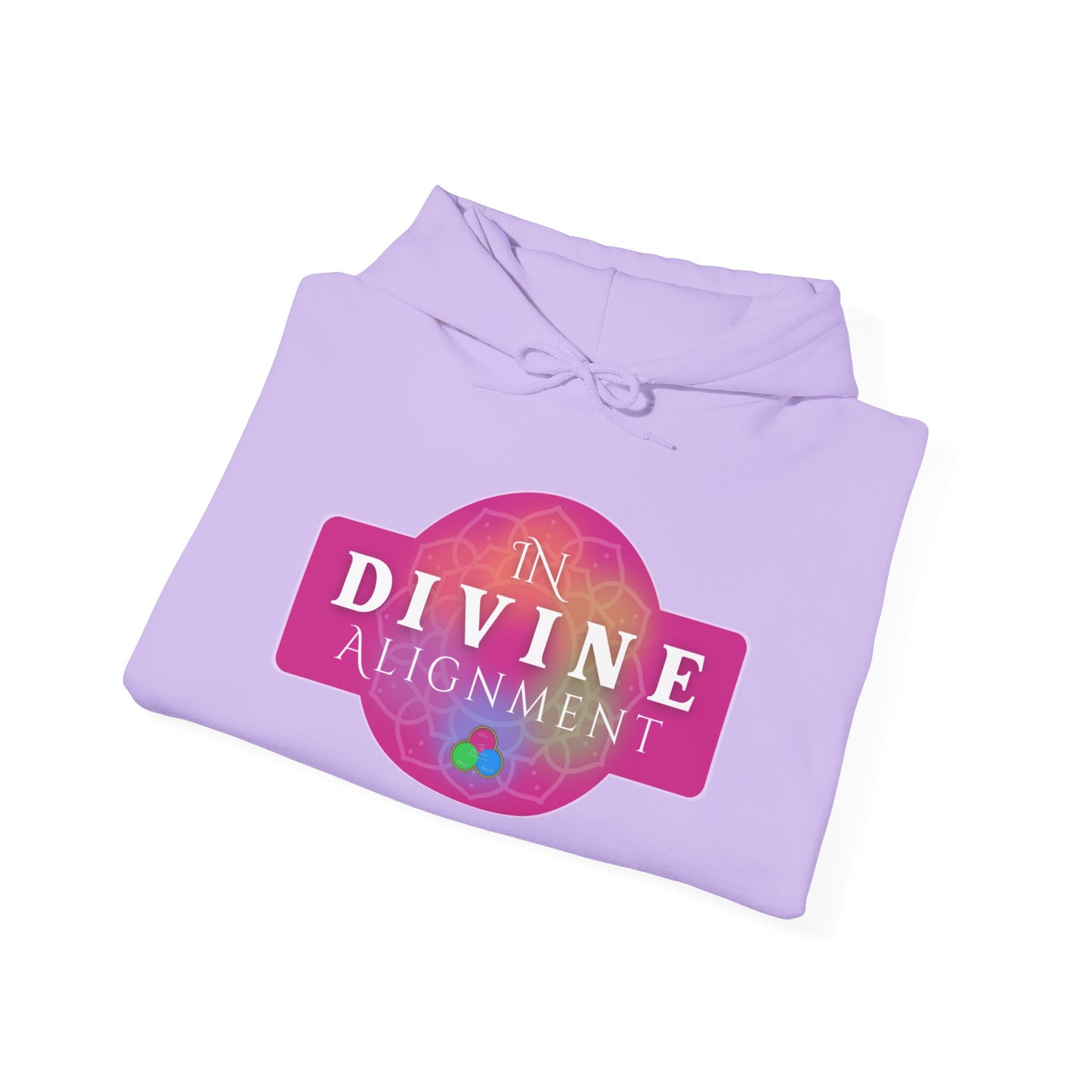 In Divine Alignment  Hooded Sweatshirt