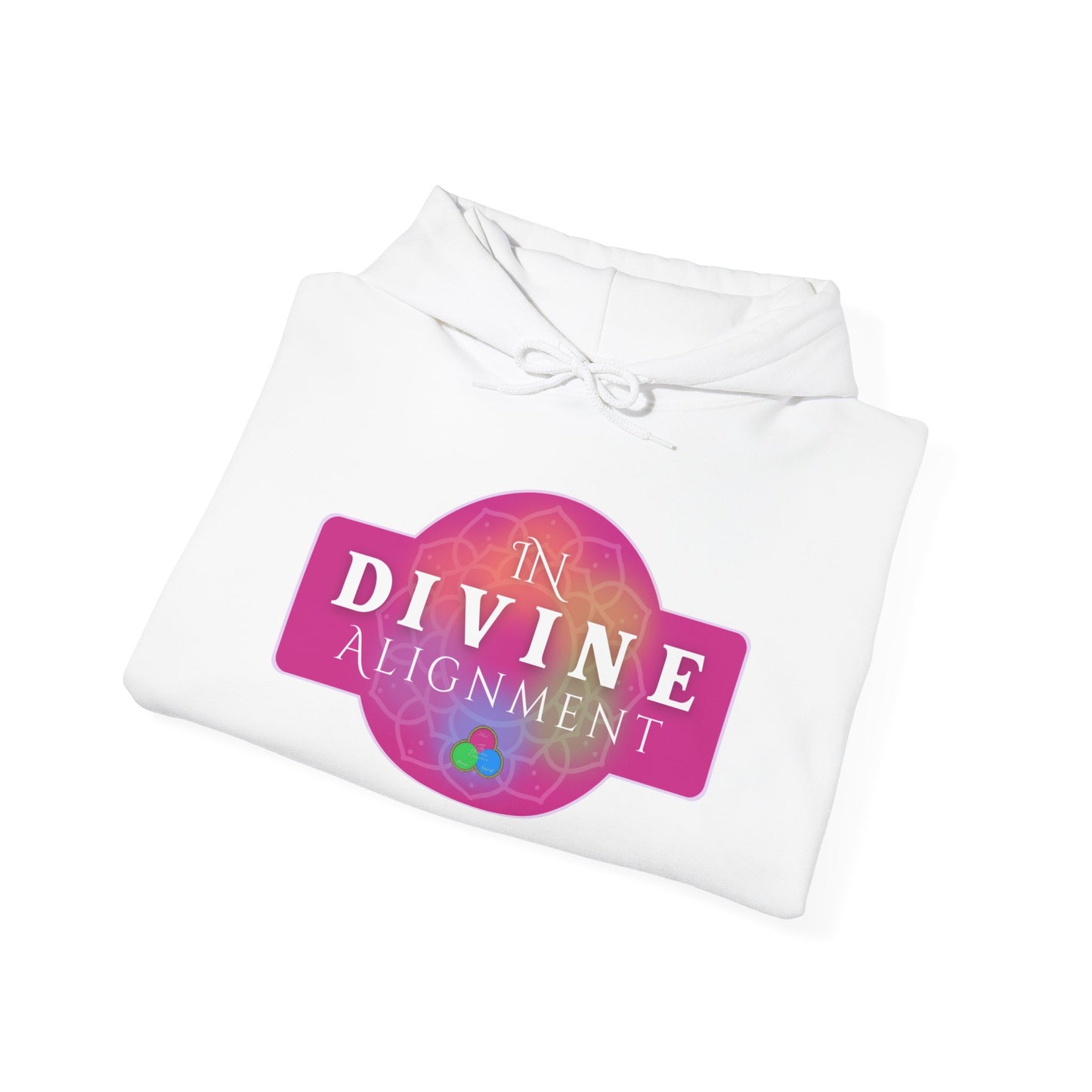 In Divine Alignment  Hooded Sweatshirt