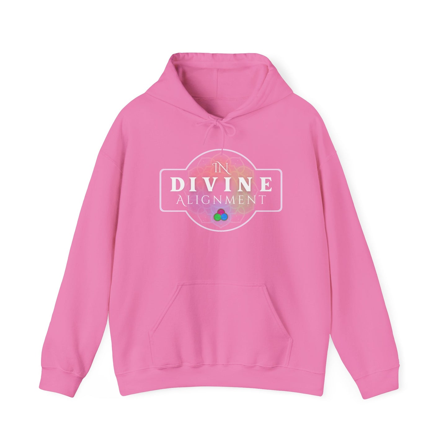 In Divine Alignment  Hooded Sweatshirt