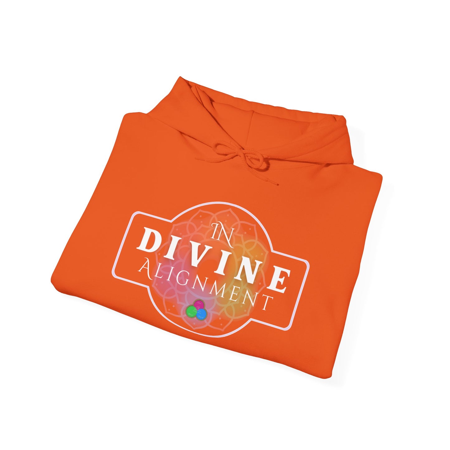 In Divine Alignment  Hooded Sweatshirt