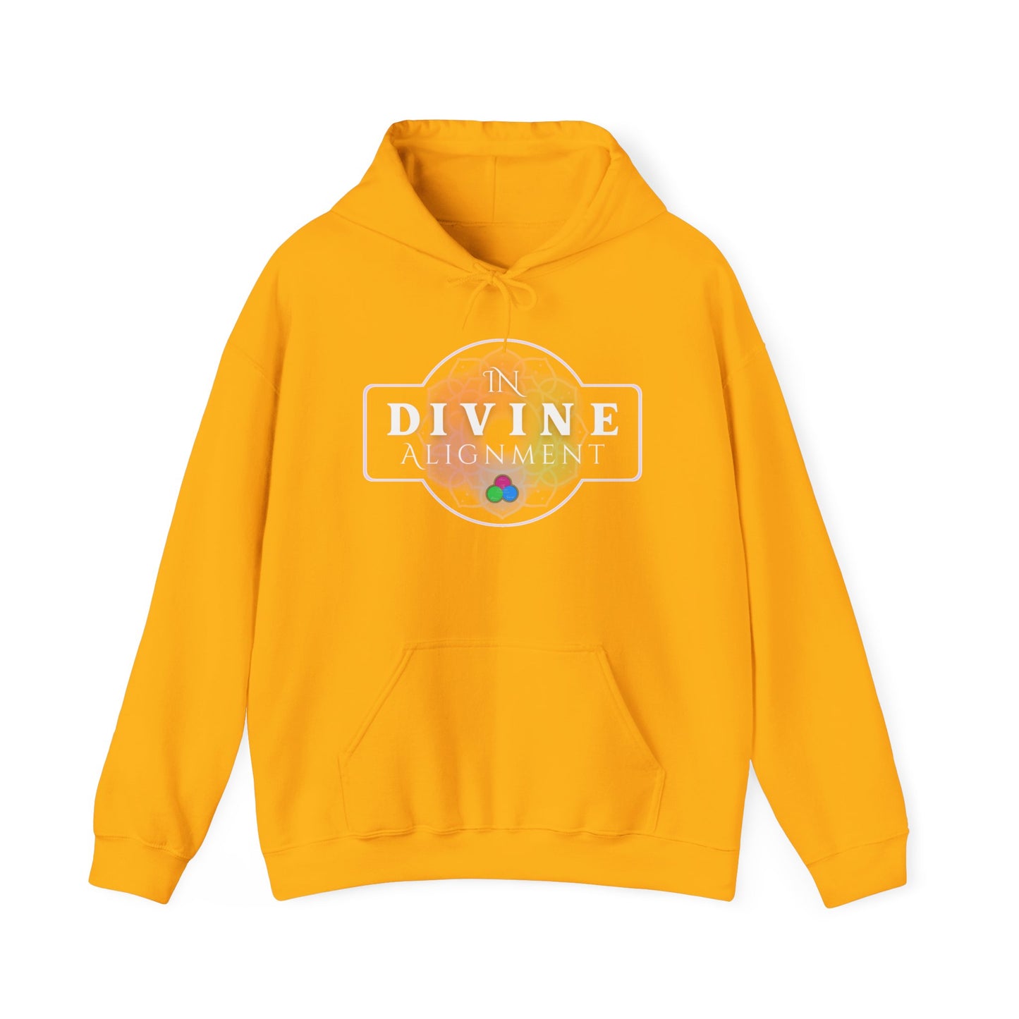 In Divine Alignment  Hooded Sweatshirt