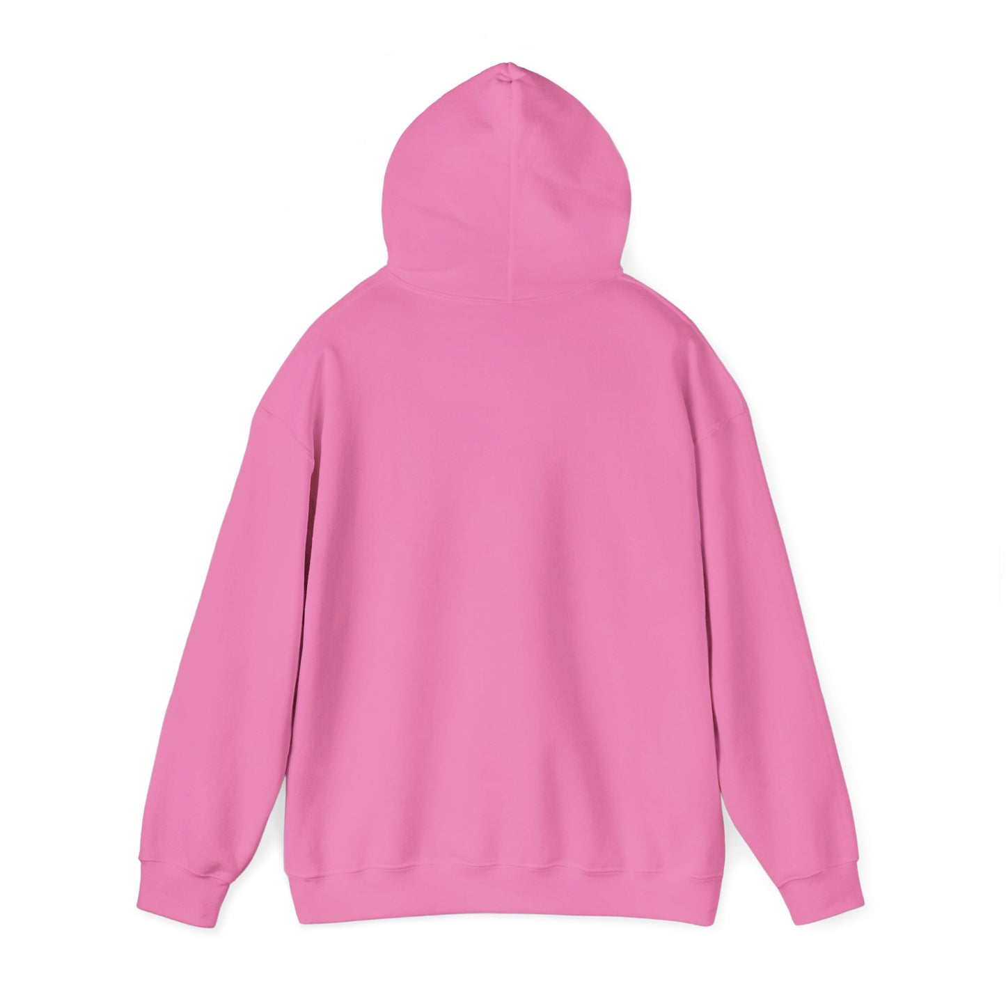 Stepping Into My Power Hooded Sweatshirt