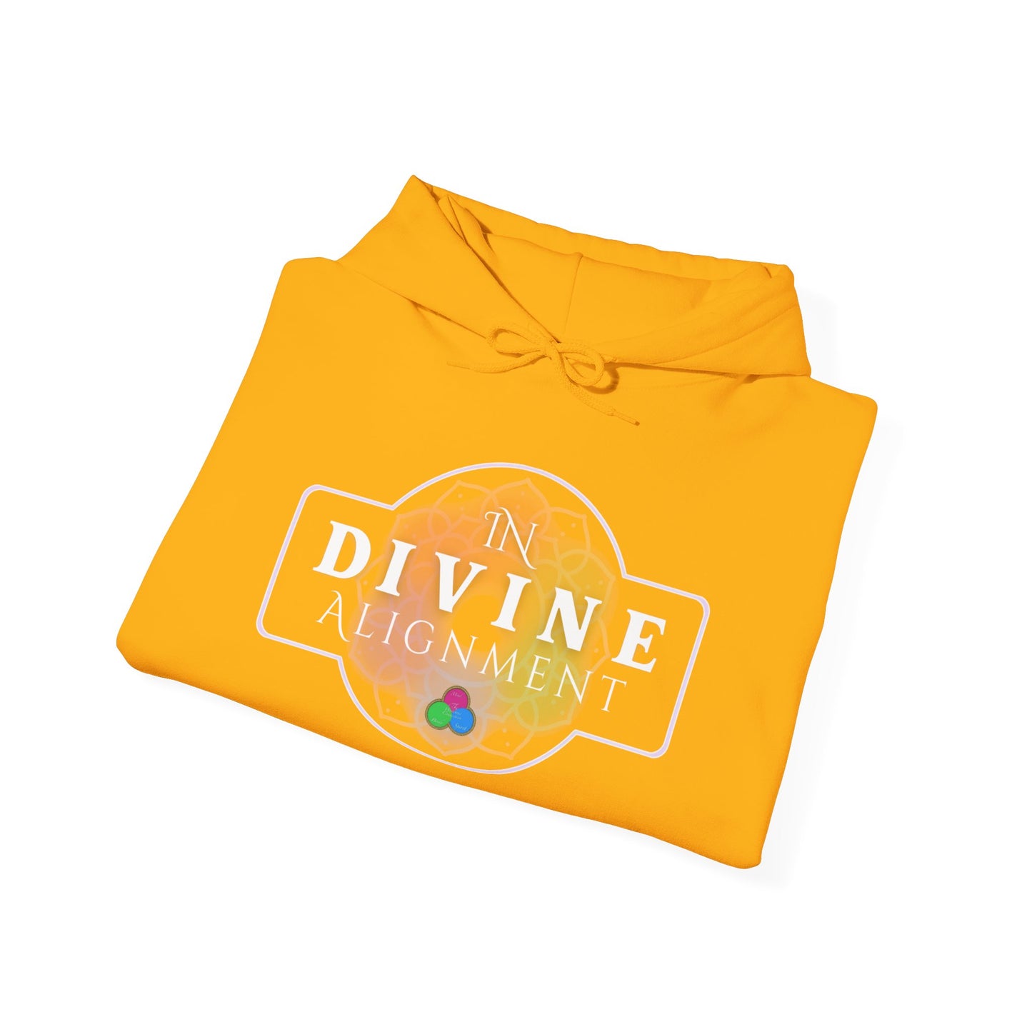 In Divine Alignment  Hooded Sweatshirt