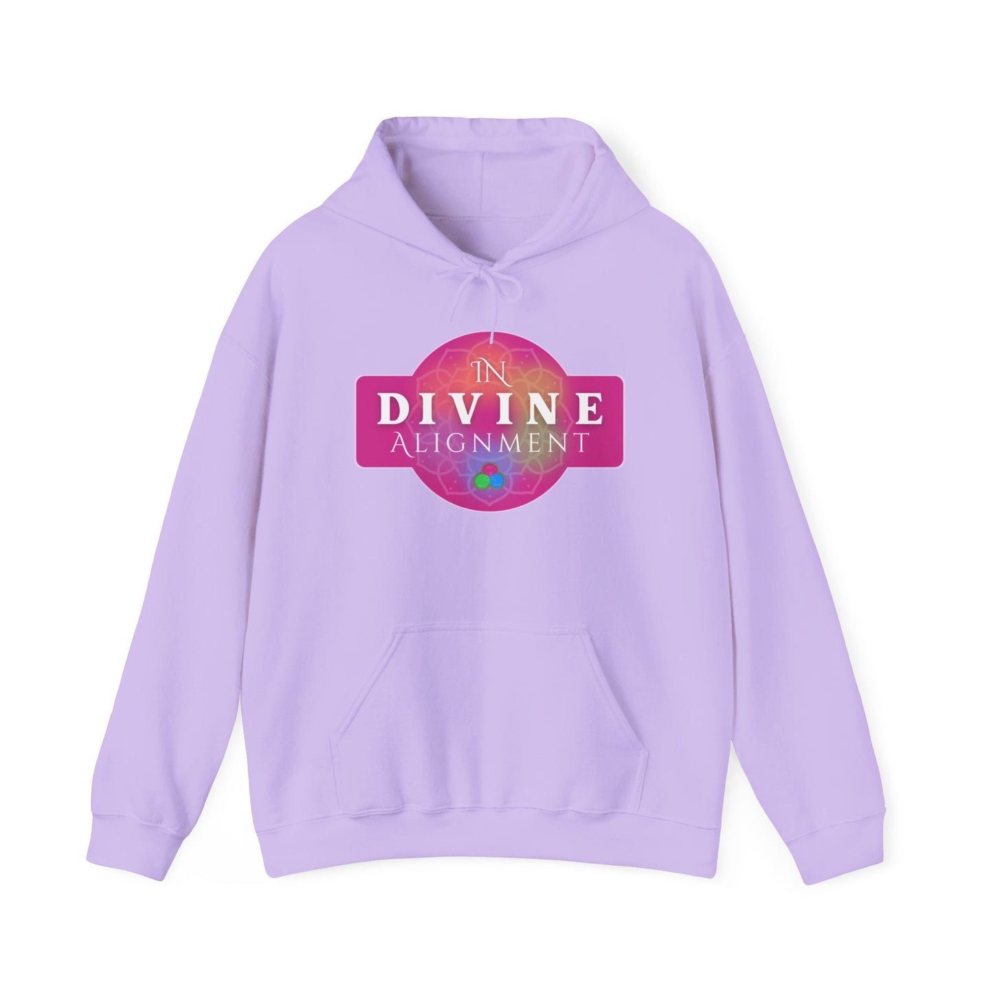 In Divine Alignment  Hooded Sweatshirt