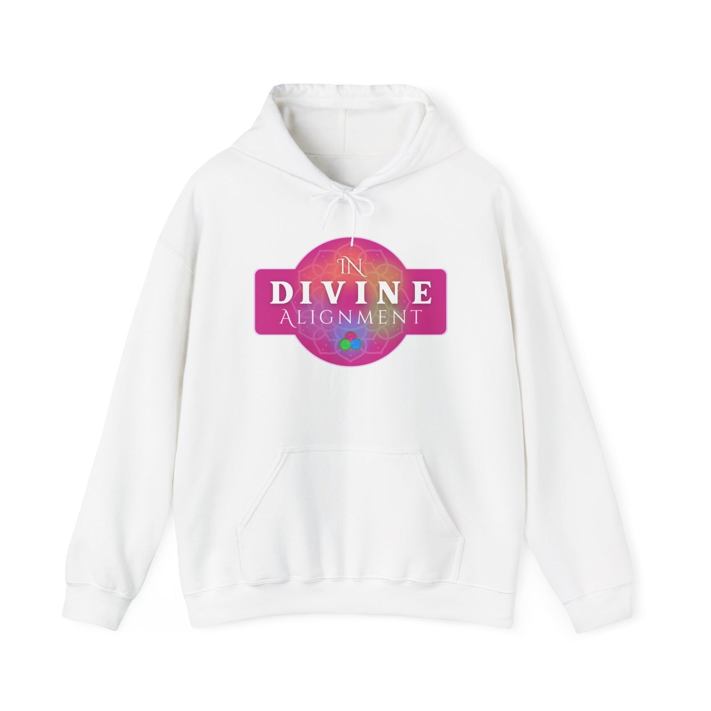 In Divine Alignment  Hooded Sweatshirt