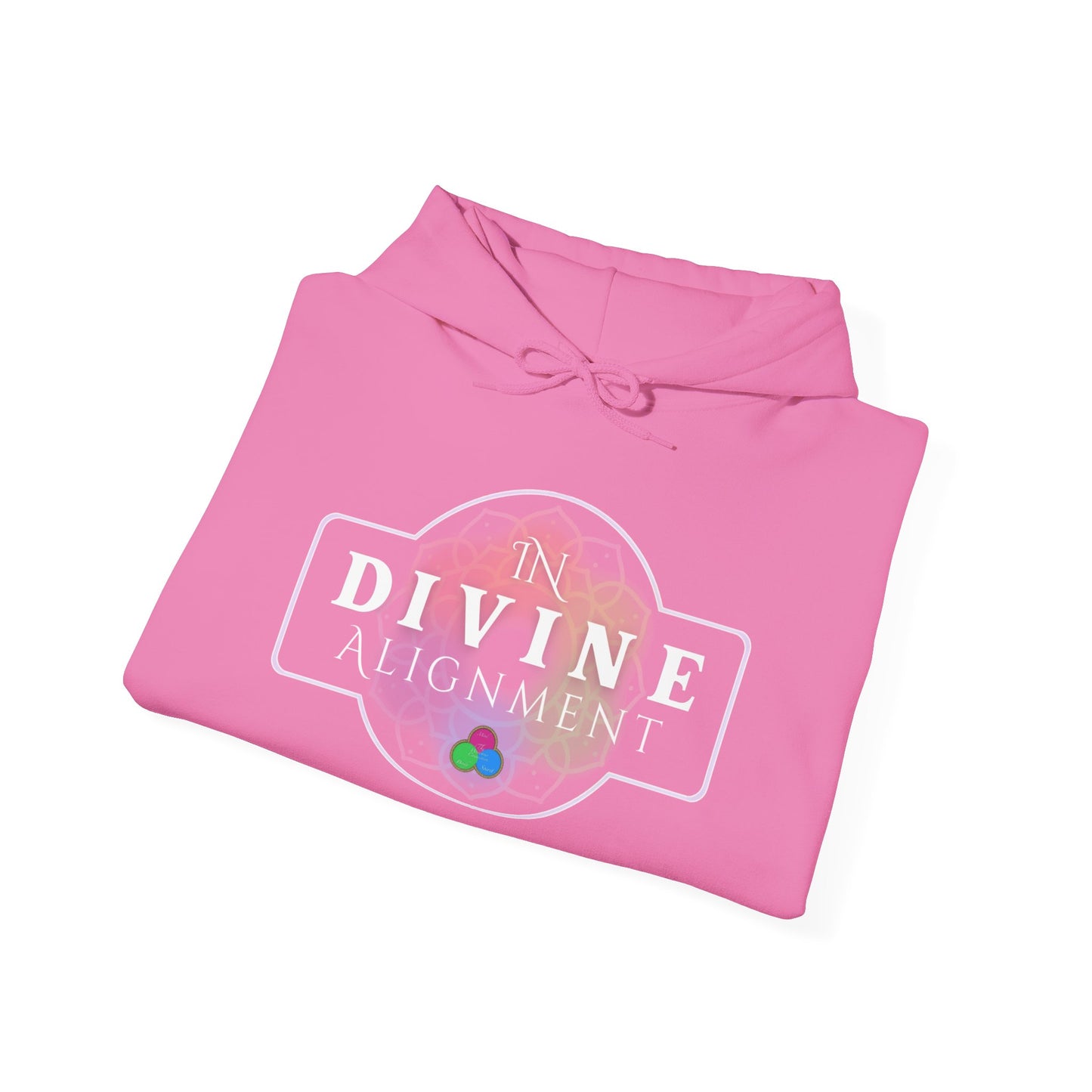 In Divine Alignment  Hooded Sweatshirt
