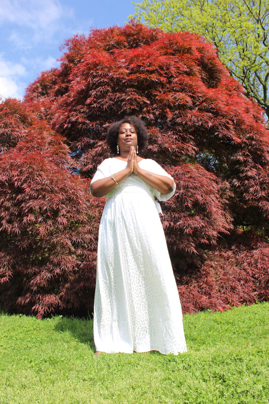 Aligned Practice: Grow Your Practice. Align Your Purpose 12 Week Coaching